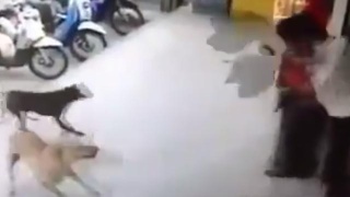 ayx官方网站
