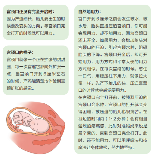 爱游戏（ayx）中国官方网站