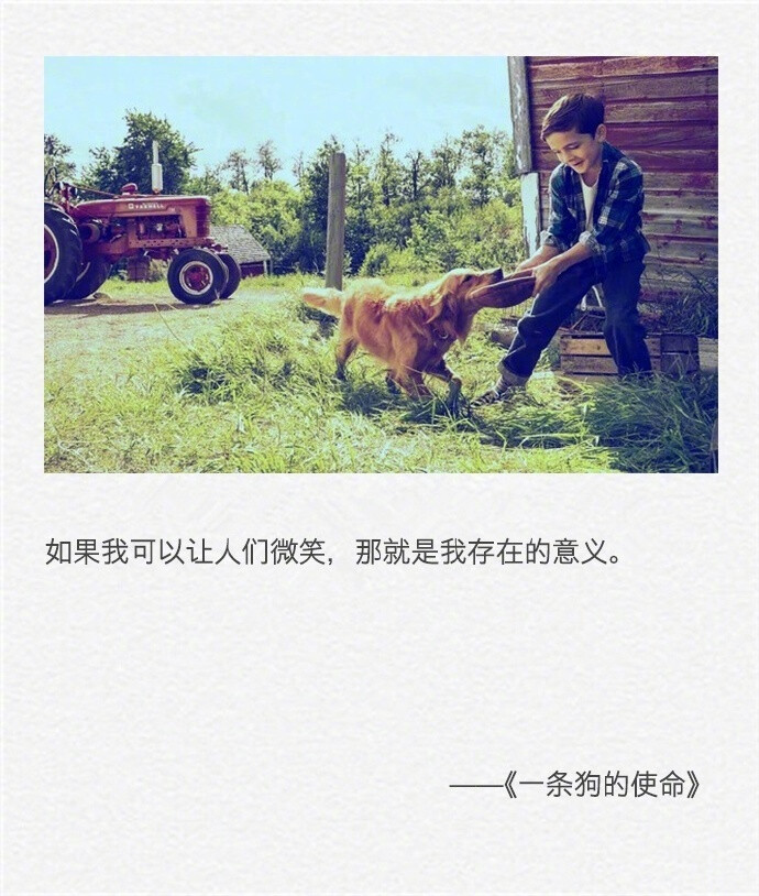 ayx官网