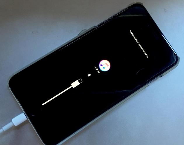 学习“女排精神”,打赢脱贫攻坚战_时事政治_中公教育网:爱游戏(ayx)中国官方网站(图4) ayx官方网站