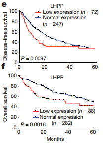 ayx官网-女装推广软文要怎么做才更好,图片不能少!(图2) 爱游戏(ayx)中国官方网站