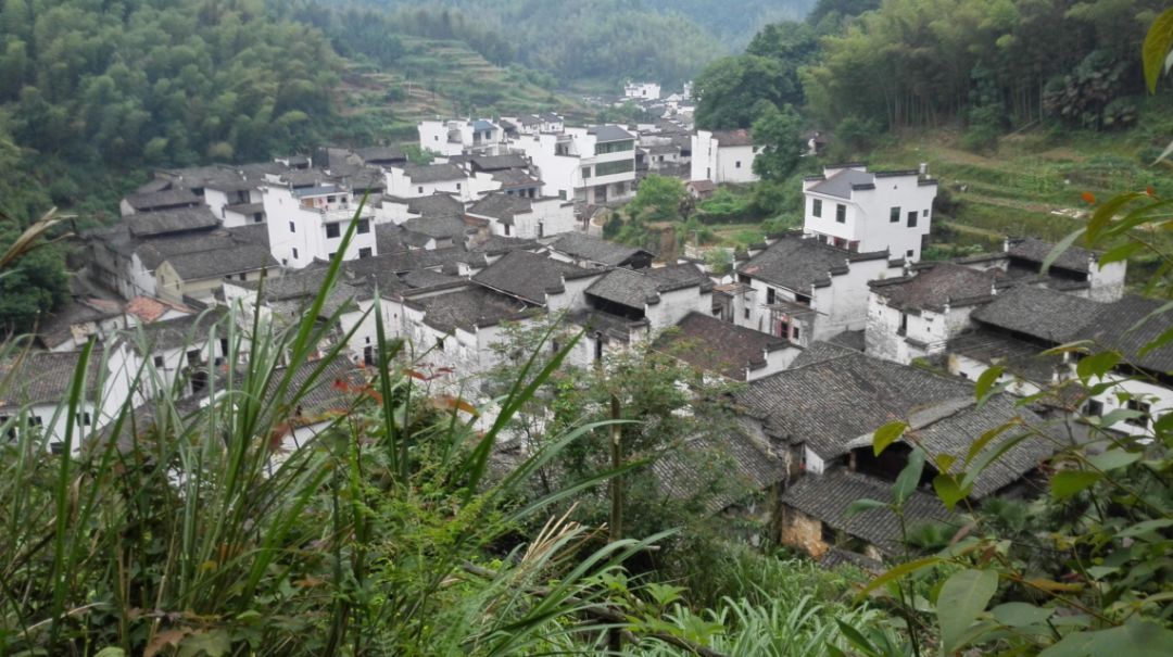 电通安吉斯联合乐视生态 开拓娱乐营销新视野【ayx官方网站】(图4) ayx官方网站