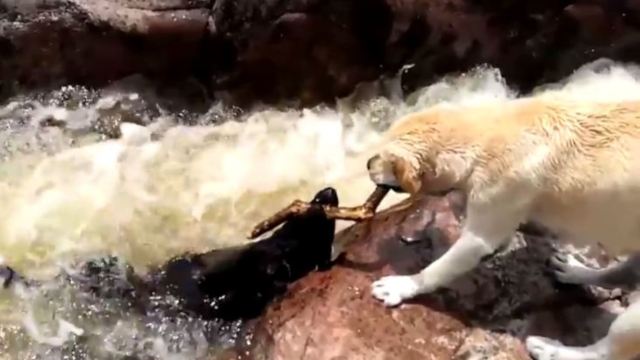 英语怎么说|Nike, Adidas,这些品牌你读对了吗?‘ayx官网’(图2) ayx官方网站