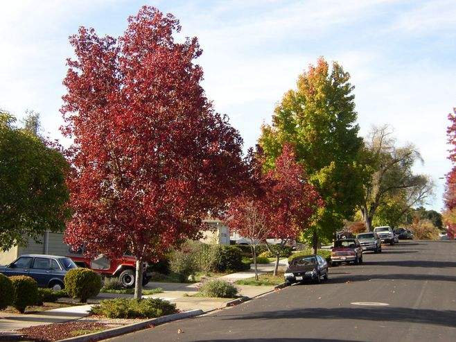 力邀杨紫担任周年庆大使 看大话手游如何打 “年轻”这张牌‘爱游戏(ayx)中国官方网站’(图2) ayx官网