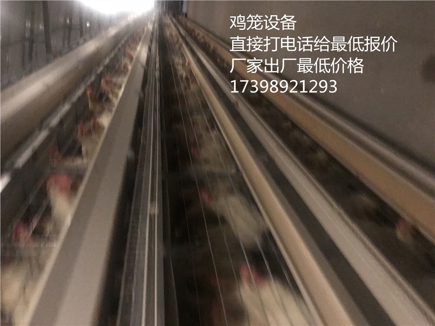 ayx官方网站:横山社区:金猪祈福,欢度元宵(图4) 爱游戏(ayx)中国官方网站