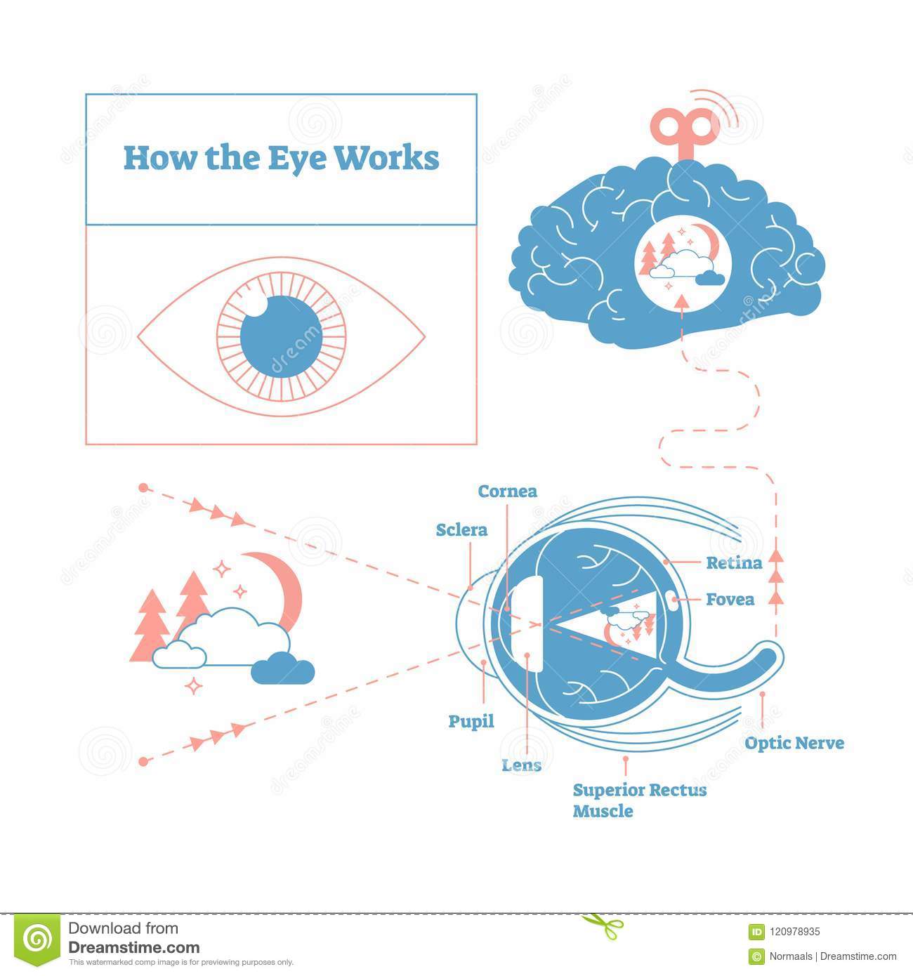 爱游戏（ayx）中国官方网站