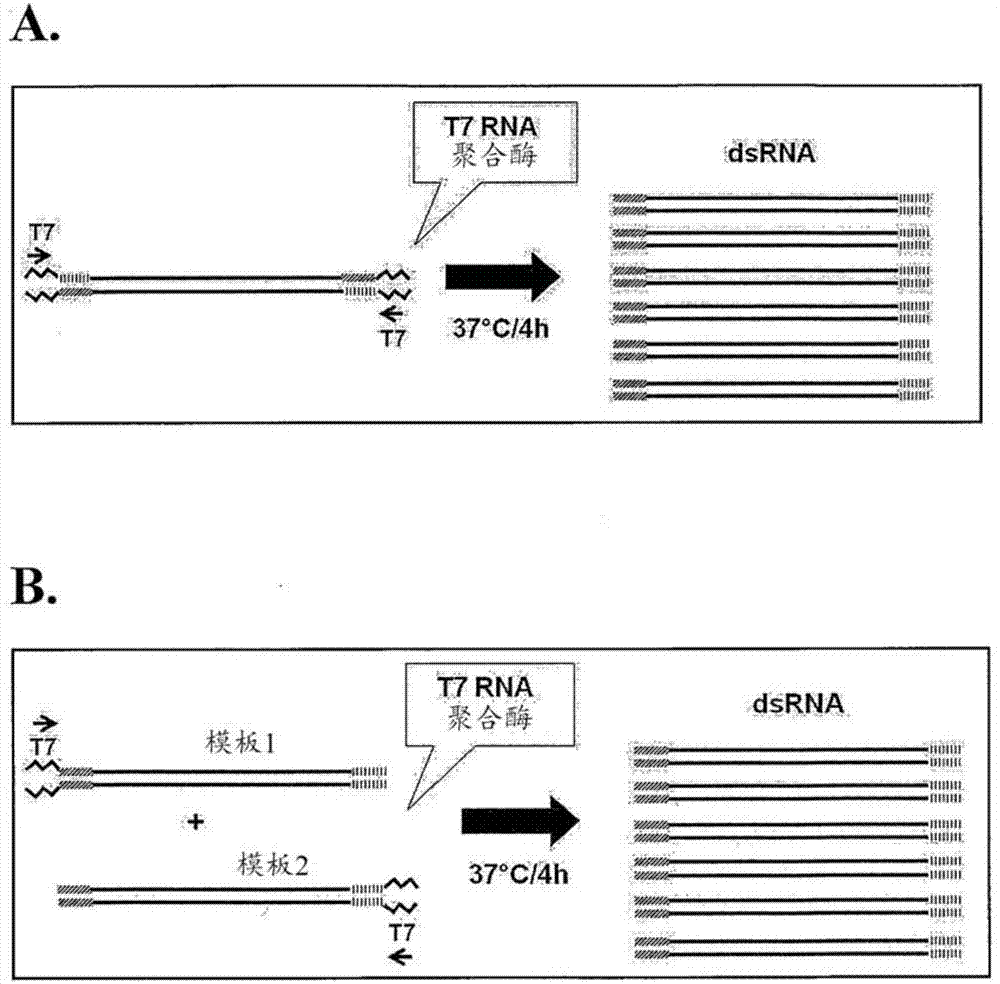 ayx官方网站_华扬联众成立“全国数据技术中心”,贾殷殷担任总经理,郝涛担任副总经理(图1) ayx官方网站