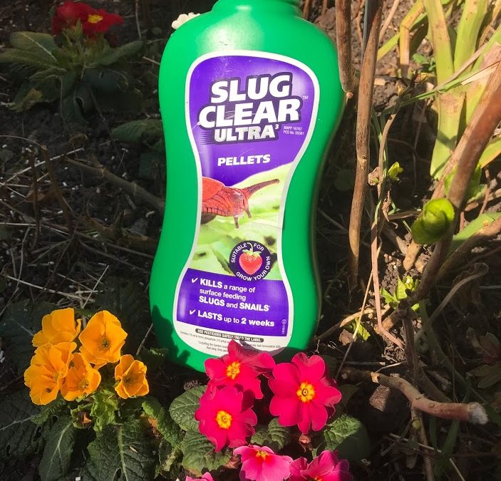 汉源小水果做出大文章:穷山沟变“桃花源”【爱游戏(ayx)中国官方网站】(图1) ayx官方网站