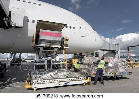 ayx官网|宁愿“拼”得精彩,也不愿活得雷同—我是LOZer(图1) ayx官方网站