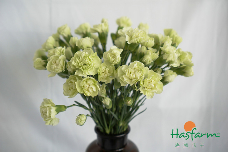 【ayx官方网站】共筑国家安全的“新长城”_时事政治_中公教育网(图1) ayx官方网站