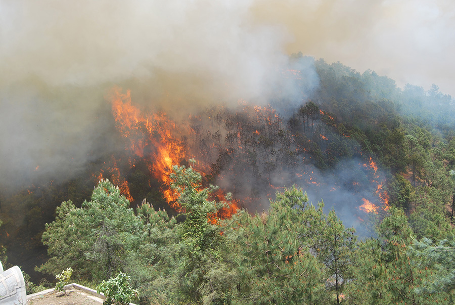 甘肃副省长:全力破除“三门”为小微企业除障碍“爱游戏(ayx)中国官方网站”(图2) ayx官网