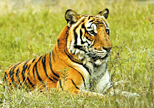 爱游戏（ayx）中国官方网站