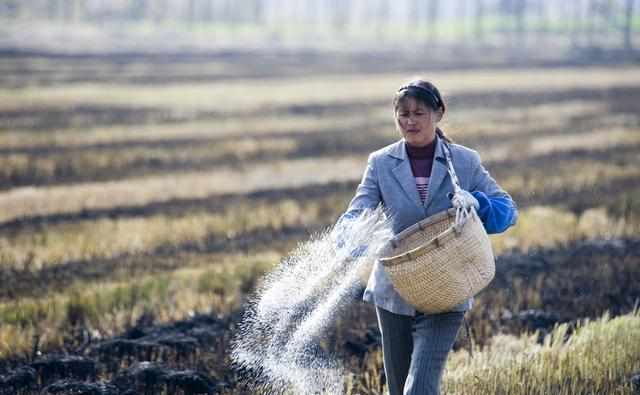 ayx官方网站_向世界展现全面小康成就_时事政治_中公教育网(图1) ayx官方网站