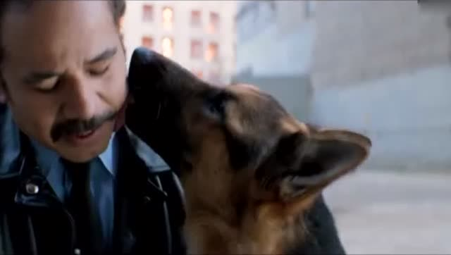 ayx官方网站-美国黑人历史教授:我们缺少的是解决问题的政治意愿(图2) ayx官方网站