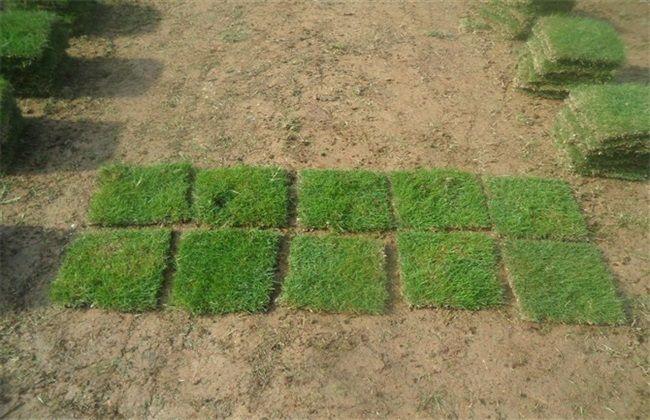 ayx官方网站|宝华洲社区:环境卫生大清理 全面预防登革热(图3) ayx官方网站