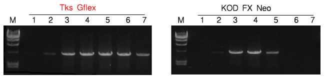 爱游戏（ayx）中国官方网站