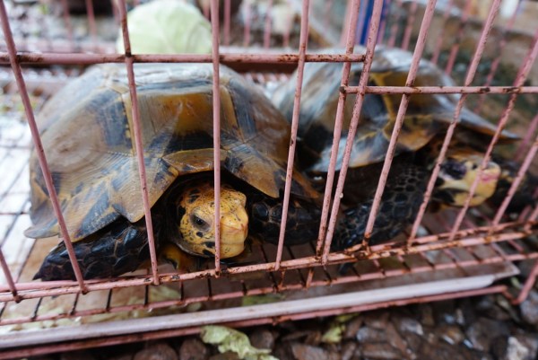 爱游戏（ayx）中国官方网站