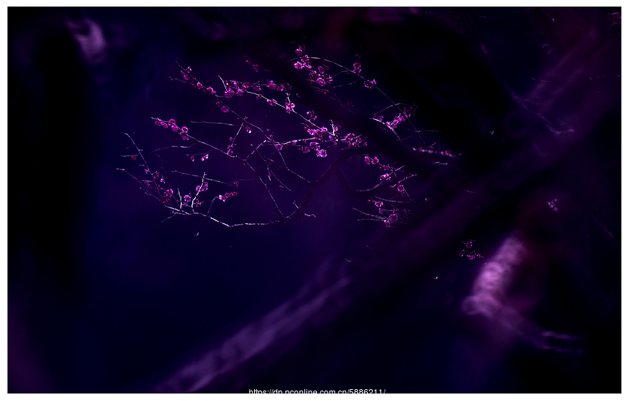 爱游戏（ayx）中国官方网站