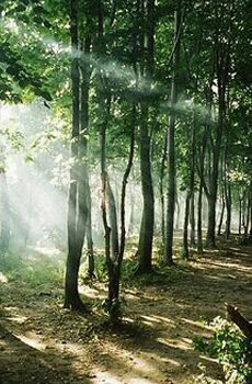 爱游戏（ayx）中国官方网站