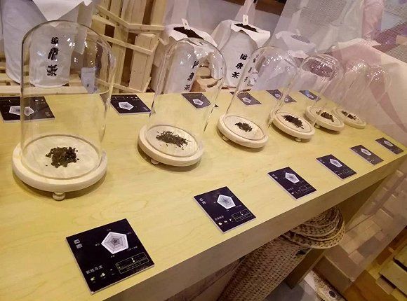 再见天体之王!前恒大功勋外援孔卡宣布退役:ayx官网(图2) ayx官方网站