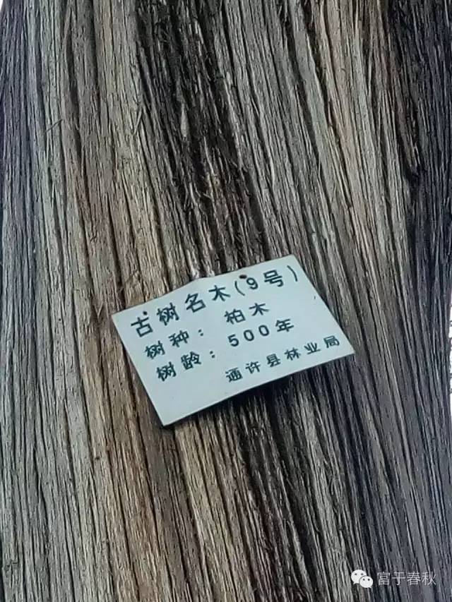 温格:得到伊布让巴黎圣日耳曼损失沉重|ayx官网(图1) 爱游戏(ayx)中国官方网站