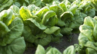 “ayx官网”广西建立首个环保区域协作机制 共同保护西江流域(图1) ayx官网