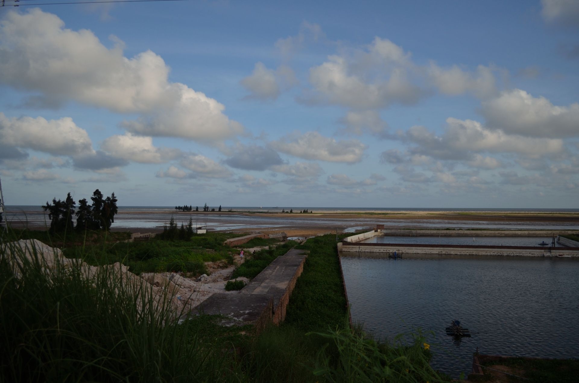 ayx官方网站-申花弃将加盟美国大联盟冠军球队 获主帅认可(图1) ayx官网