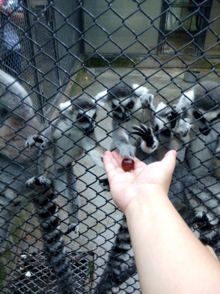 【ayx官方网站】约架成功:双11“互抽打脸”广告走红(图3) ayx官网