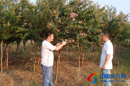 爱游戏（ayx）中国官方网站