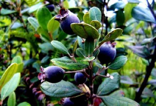 爱游戏（ayx）中国官方网站