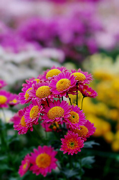 常见的16种广告宣传灯箱,你知道几种?【ayx官方网站】(图3) ayx官网