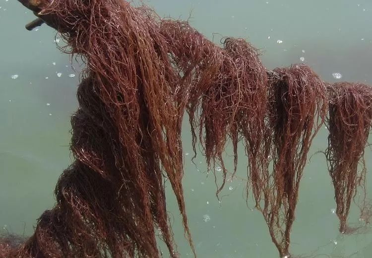 服务项目_ayx官方网站(图7) ayx官方网站