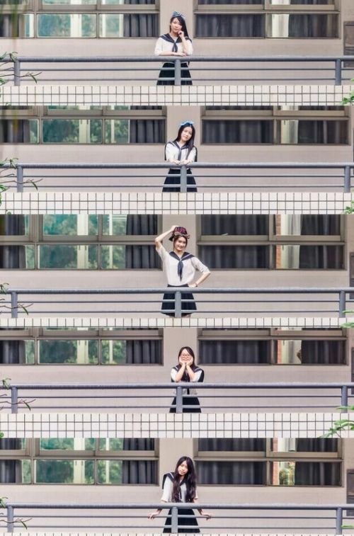 ayx官方网站_严惩地方造假,维护中央权威_时事政治_中公教育网(图3) ayx官网