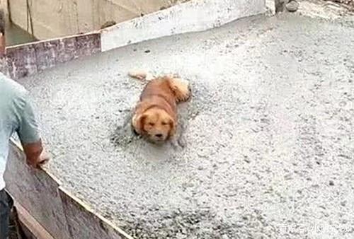 读懂“1.5亿党费”传递的关怀与温暖_时事政治_中公教育网‘ayx官网’(图4) ayx官网