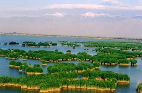 爱游戏（ayx）中国官方网站