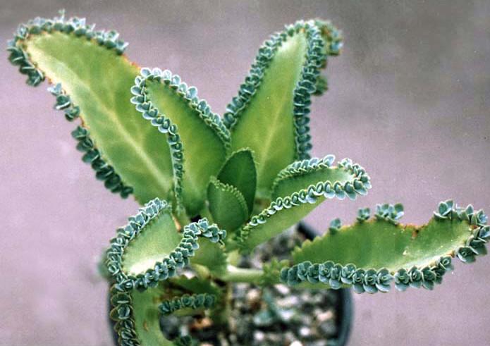 【爱游戏(ayx)中国官方网站】他因不满在恒大打替补愤然离队!曾后悔不该那么早离开恒大(图4) 爱游戏(ayx)中国官方网站