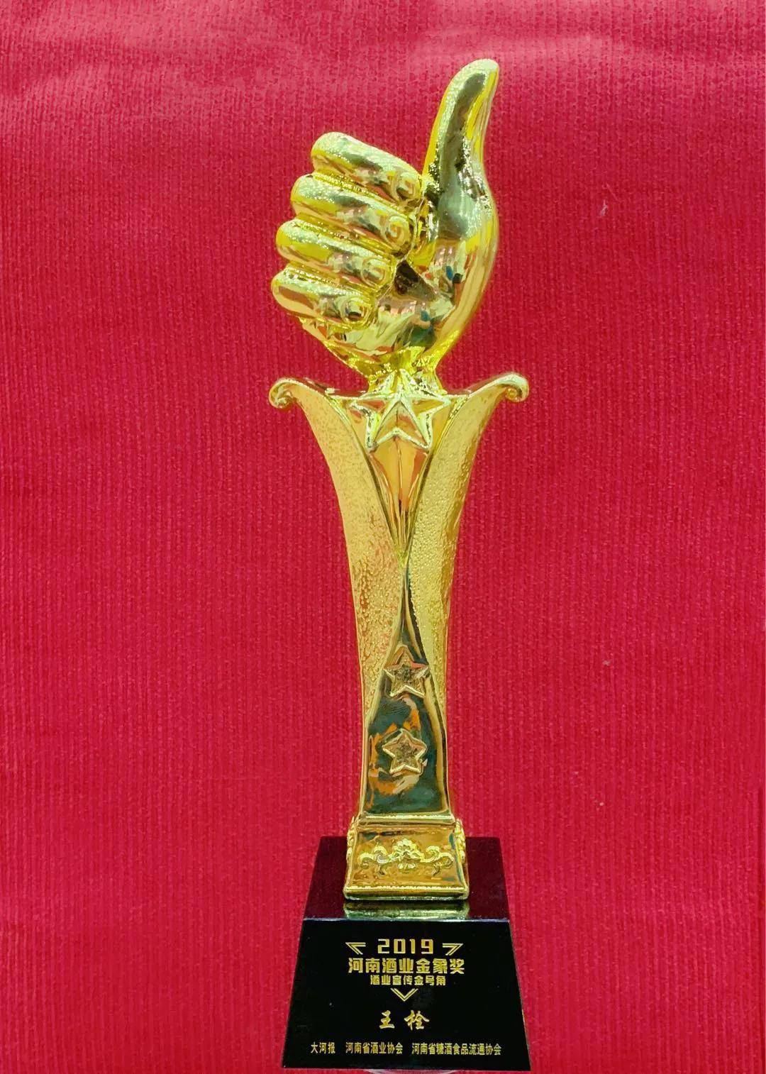 【爱游戏（ayx）中国官方网站】
荣誉来袭  皇沟御酒闪耀2019河南酒业“金象奖” 共摘七奖(图9)