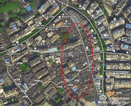 ayx官方网站:梅花社区:开展志愿者培训活动(图1) ayx官网