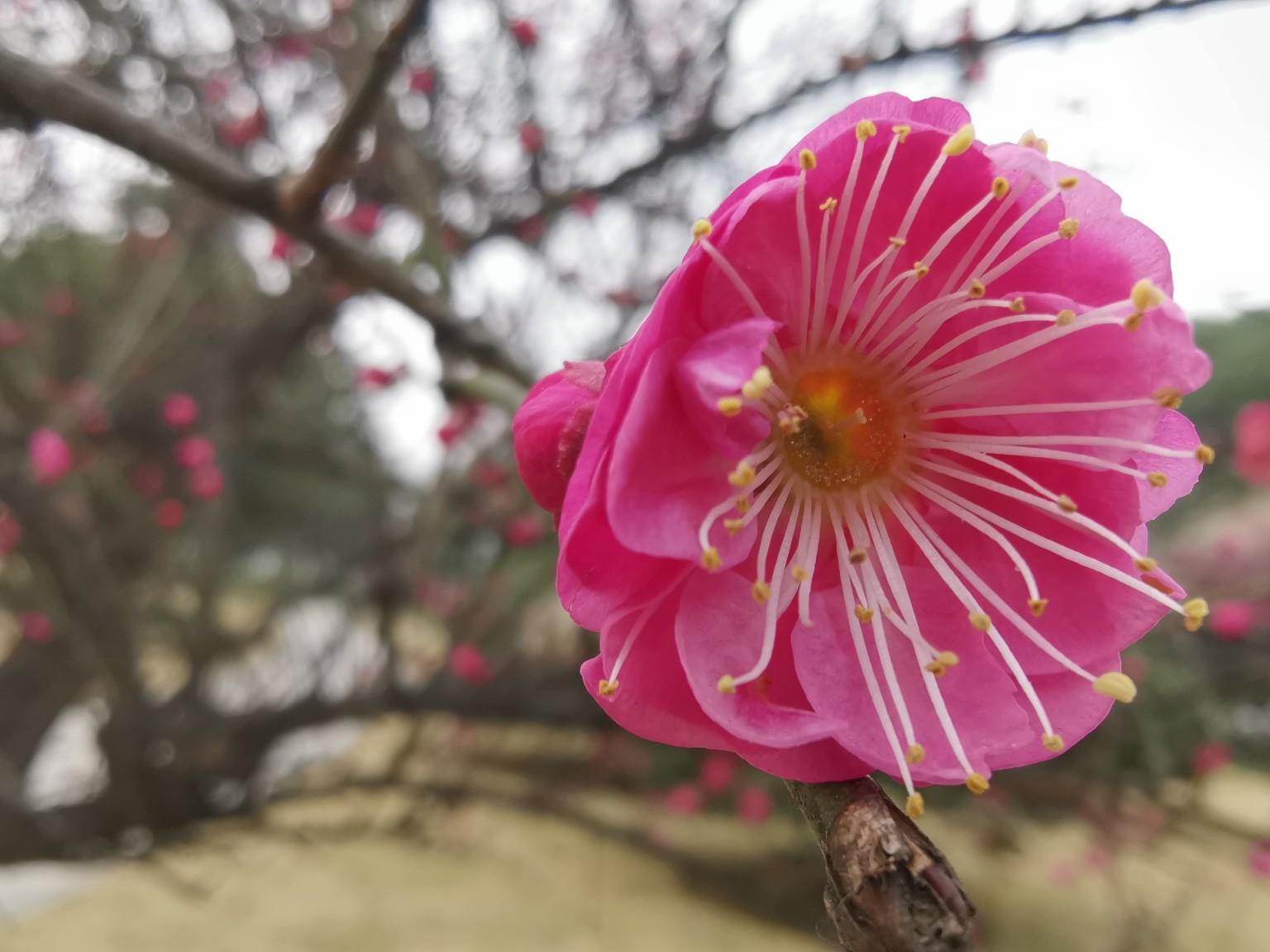 ayx官网:霸气!卡纳瓦罗放话:年轻球员想出场先展现实力(图3) ayx官网