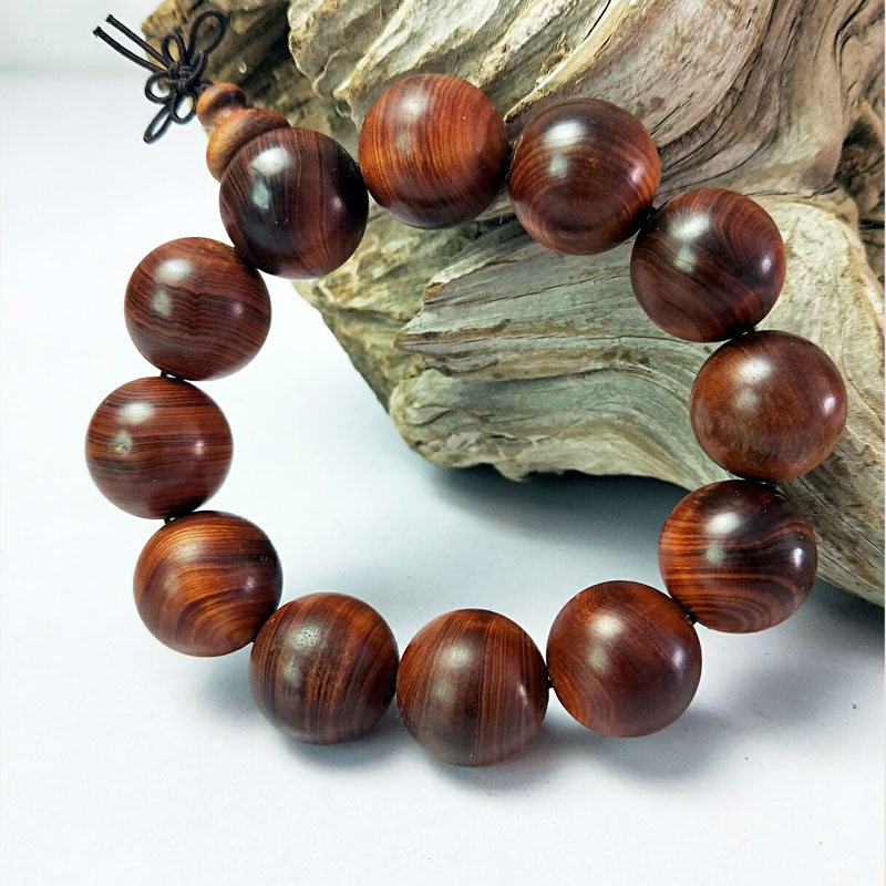 总府社区: 健康你我,绿色出行“ayx官方网站”(图3) 爱游戏(ayx)中国官方网站