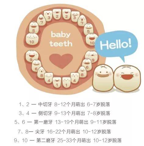 ayx官网|旅华美人在内蒙古草原的红酒文化传播梦(图1) ayx官网