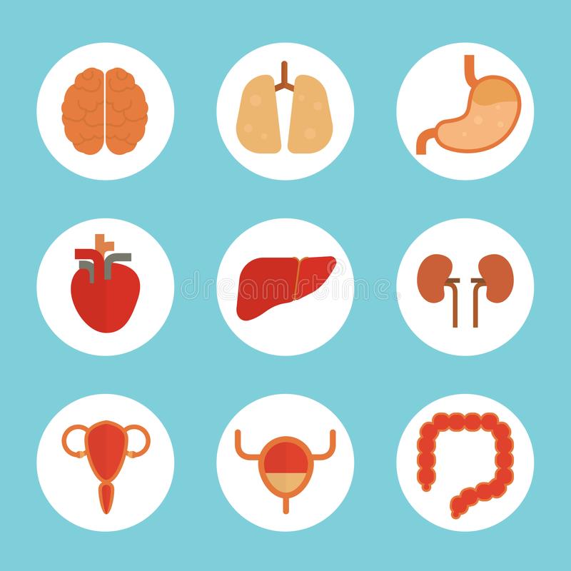 夯牢信仰之基 积蓄中国力量_时事政治_中公教育网【爱游戏(ayx)中国官方网站】(图3) ayx官网