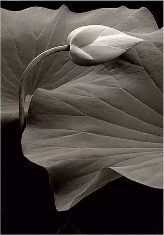 【ayx官方网站】国奥两连胜希丁克却给足协出了一个难题 球迷:这个难题必须解决(图4) ayx官方网站