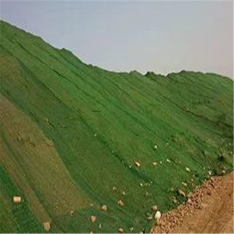 公开问题需勇气,解决问题显担当_时事政治_中公教育网【ayx官方网站】(图2) ayx官网