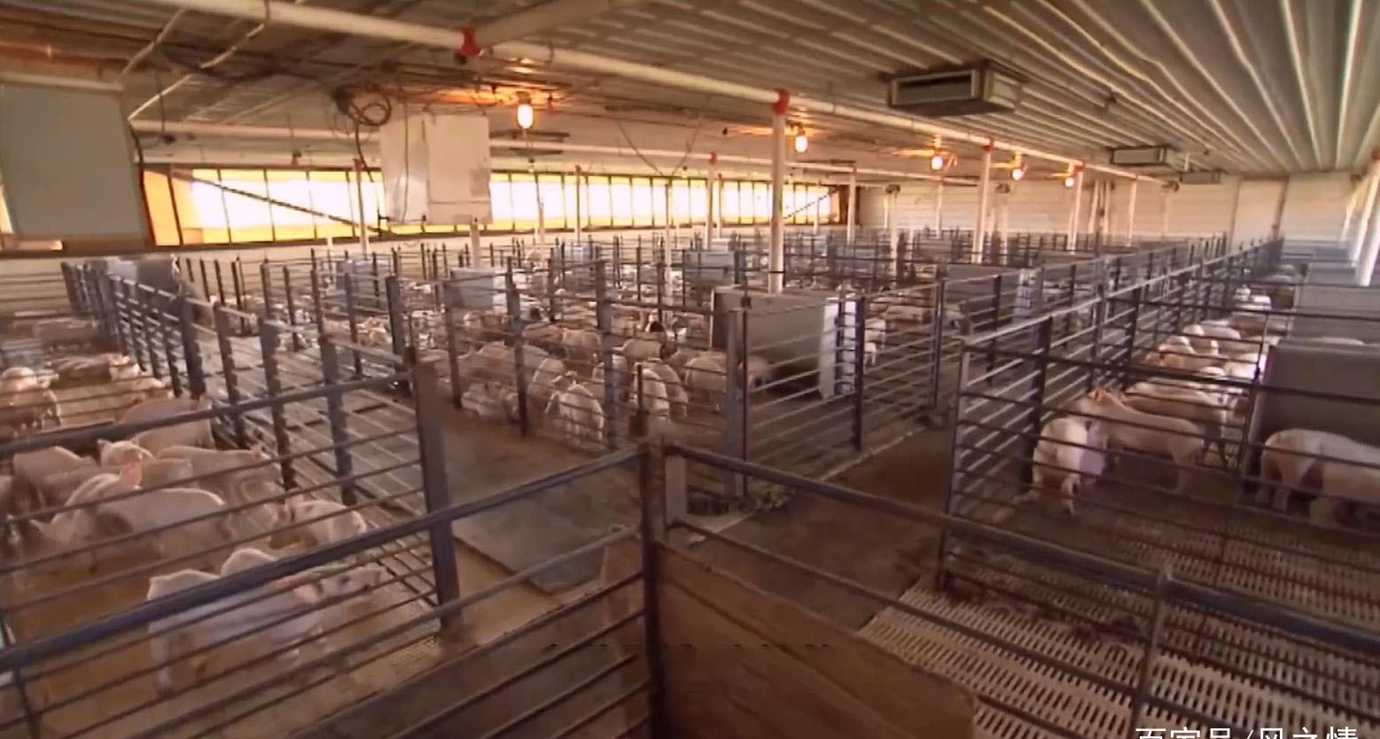 爱游戏（ayx）中国官方网站