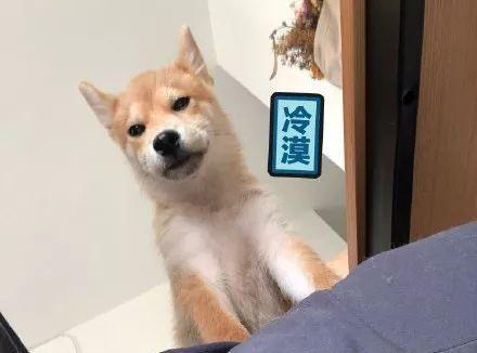 爱游戏（ayx）中国官方网站