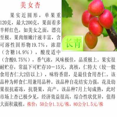 爱游戏（ayx）中国官方网站